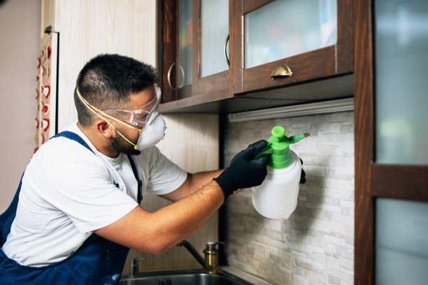 Best Flea Control Services  in Edgewood, OH