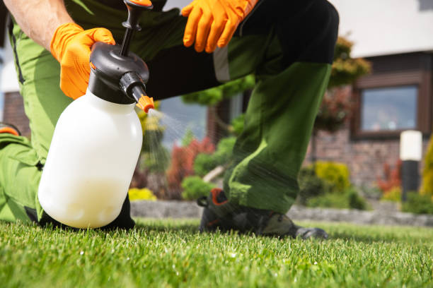 Best Residential Pest Control  in Edgewood, OH