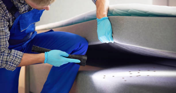 Pest Prevention Services in Edgewood, OH