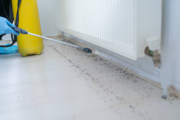 Best Pest Control for Restaurants  in Edgewood, OH