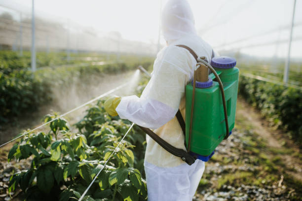 Reliable Edgewood, OH Pest Control Solutions